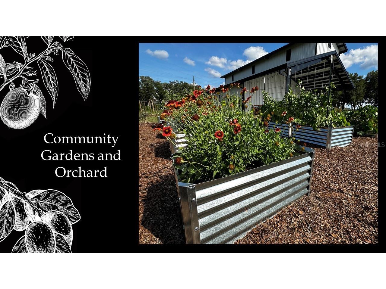 6110 SW 124th Way Archer FL 32618 GC535170 image16