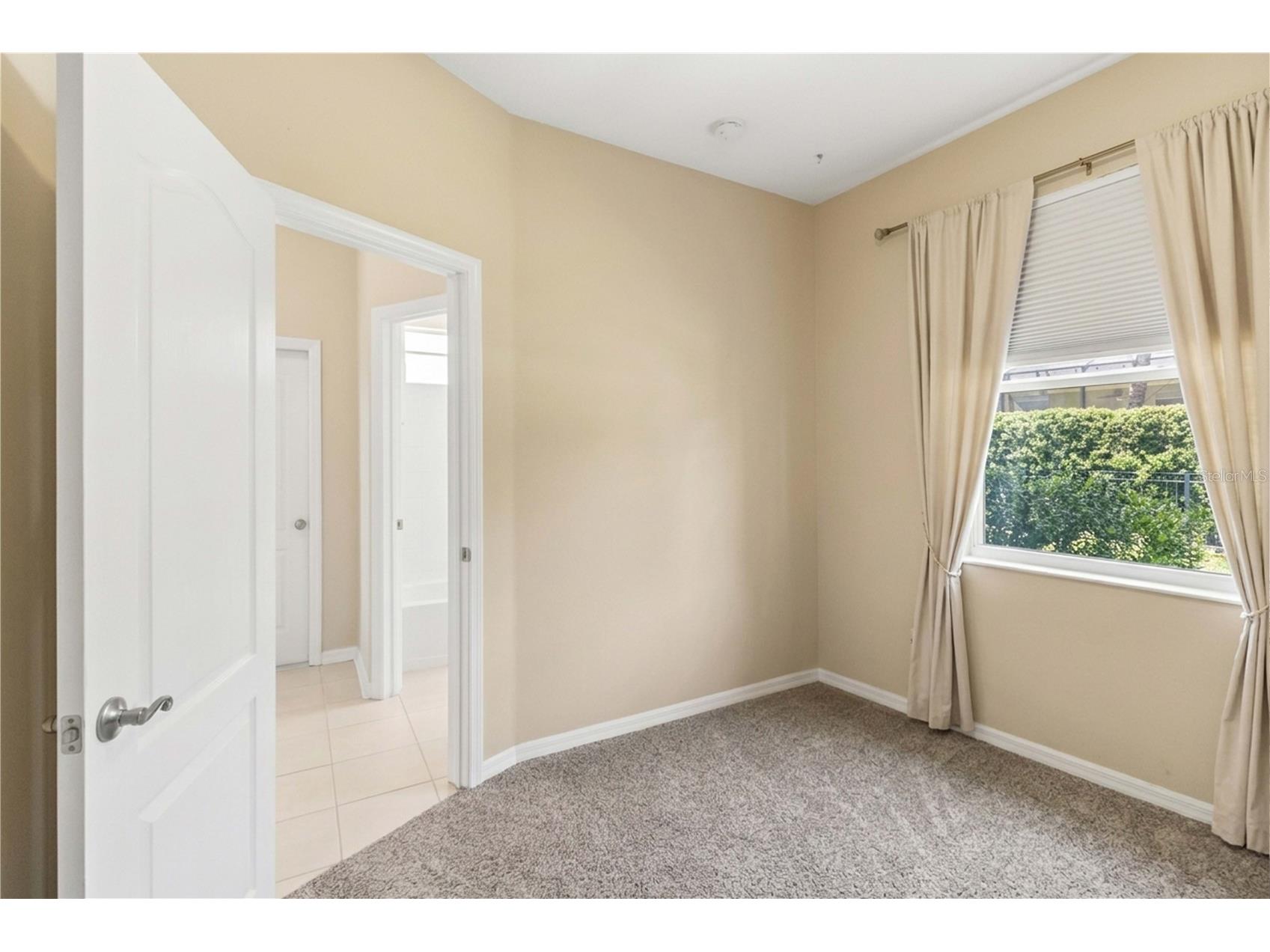6110 Whimbrelwood Drive Lithia FL 33547 TB8507246 image28