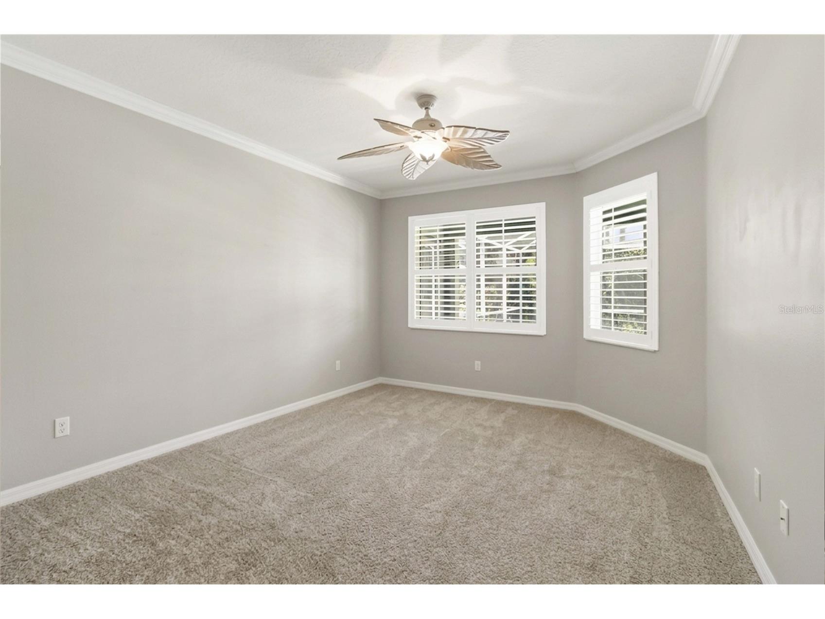 6110 Whimbrelwood Drive Lithia FL 33547 TB8507246 image32