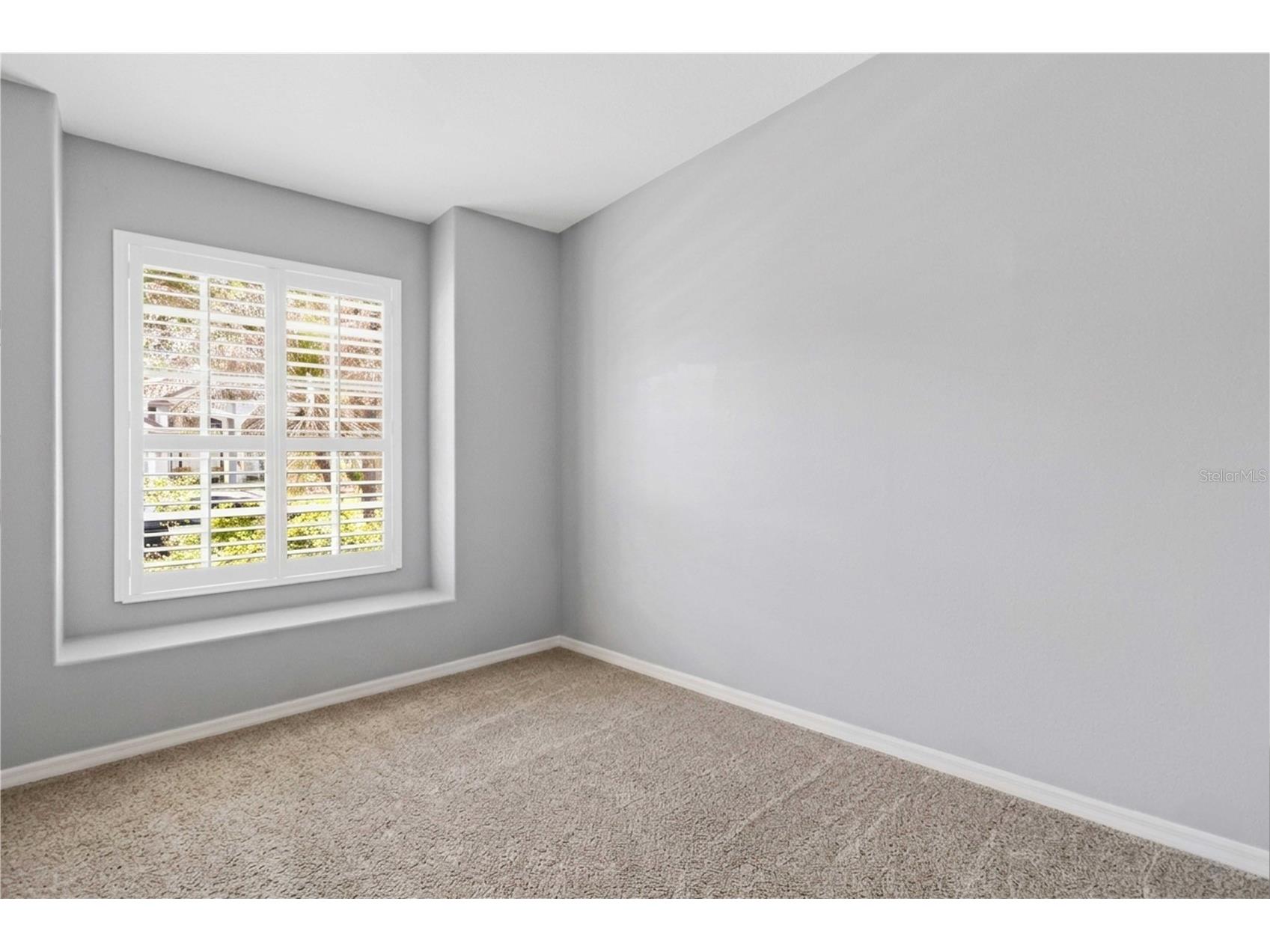 6110 Whimbrelwood Drive Lithia FL 33547 TB8507246 image39