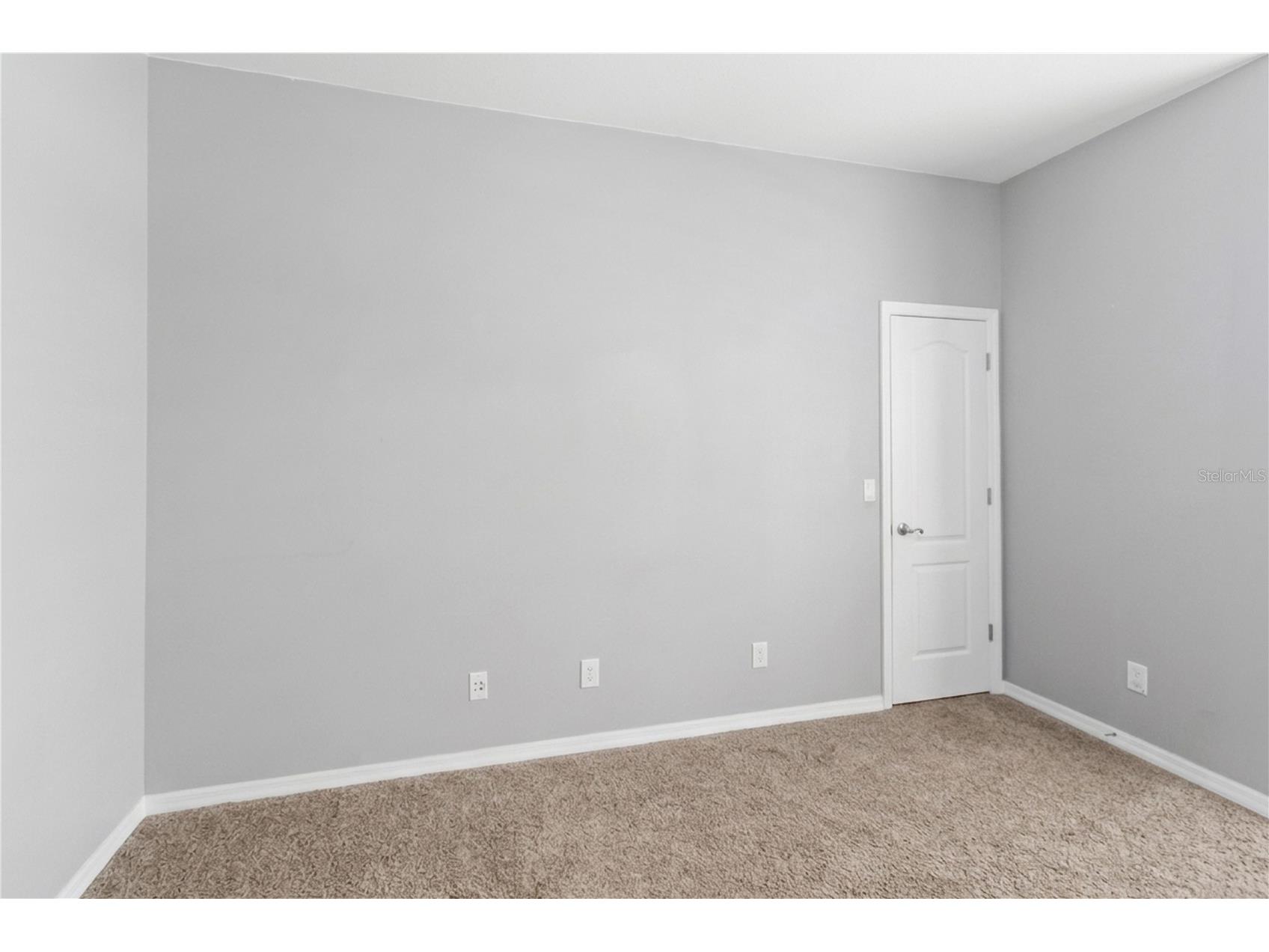 6110 Whimbrelwood Drive Lithia FL 33547 TB8507246 image43