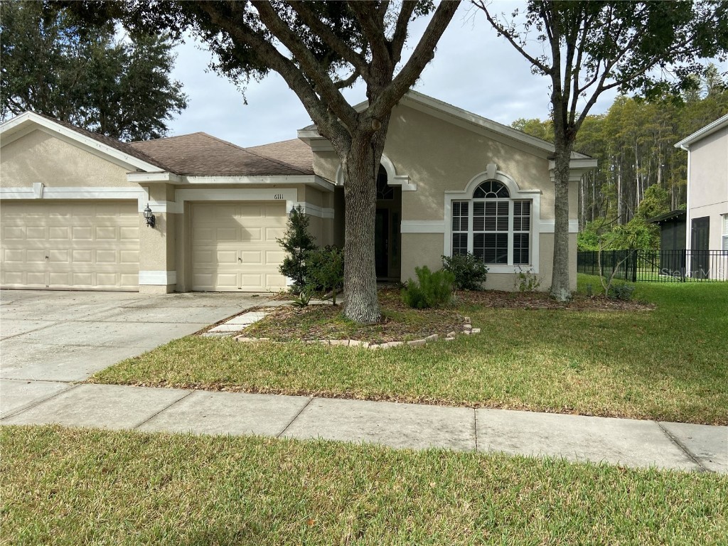 6111 Everlasting Place Land O Lakes FL 34639 T3483592 image1