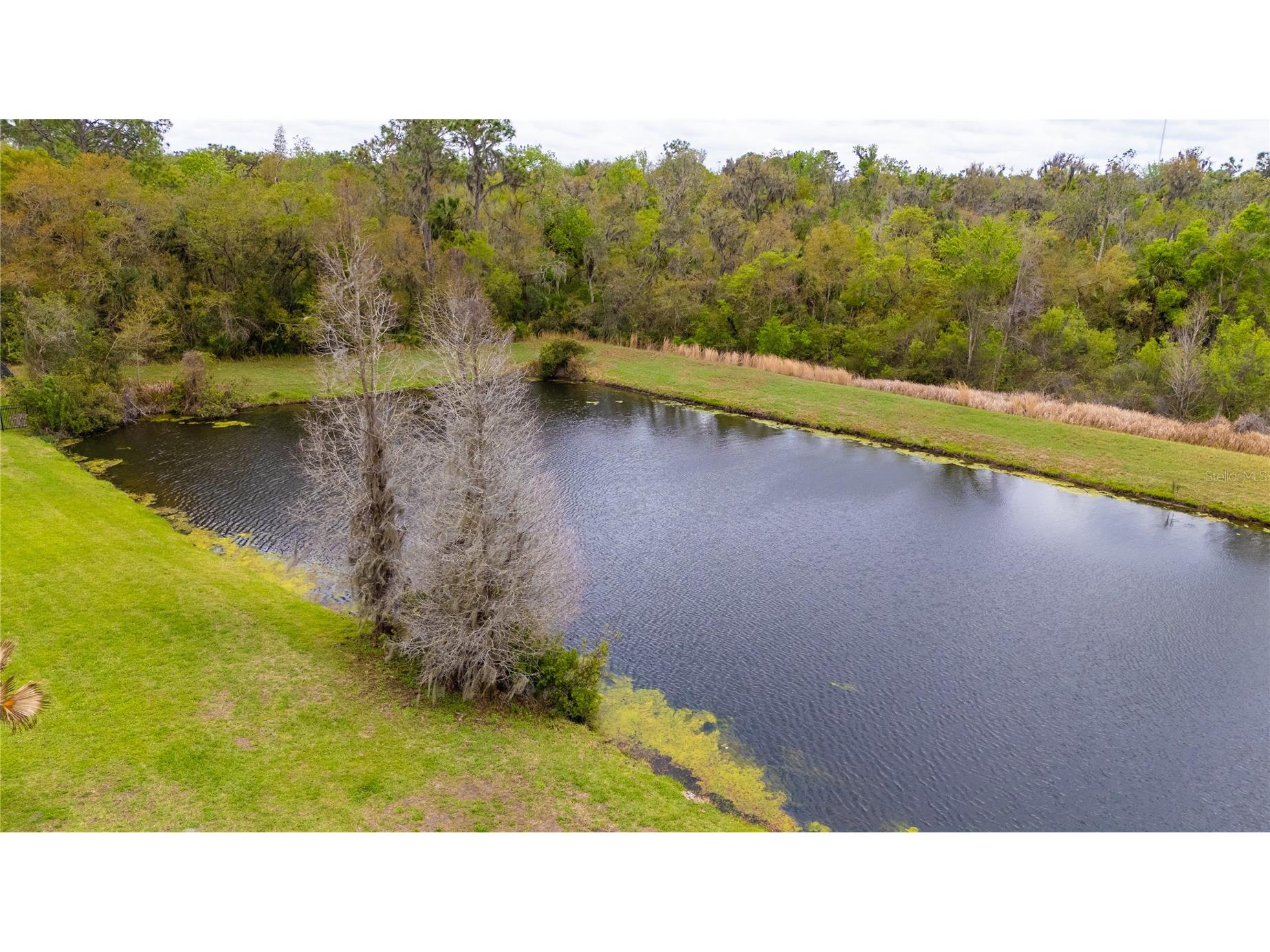 6111 Heroncrest Court Lithia FL 33547 TB8485887 image17