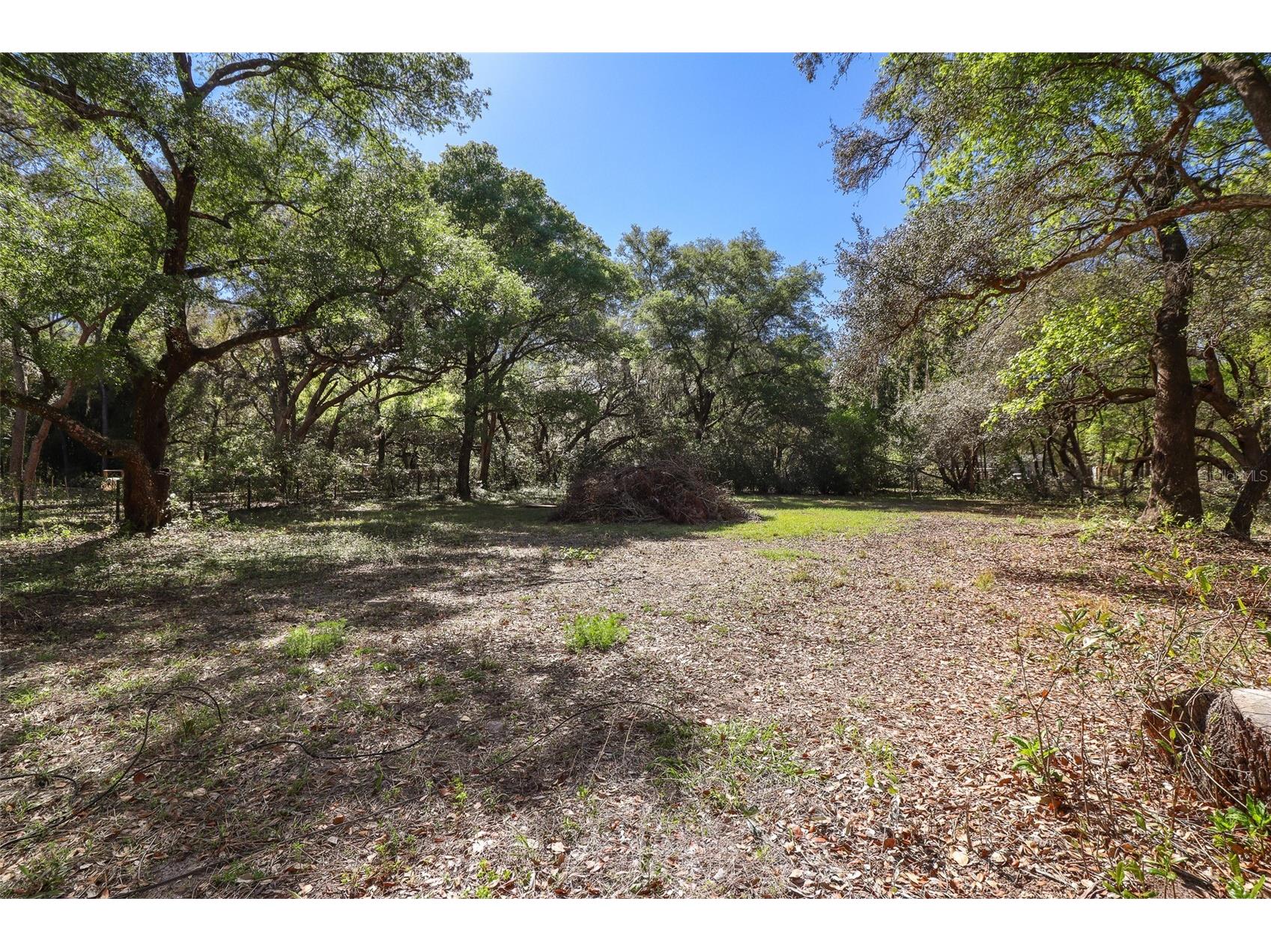 6111 Klare Drive Keystone Heights FL 32656 OM722763 image18