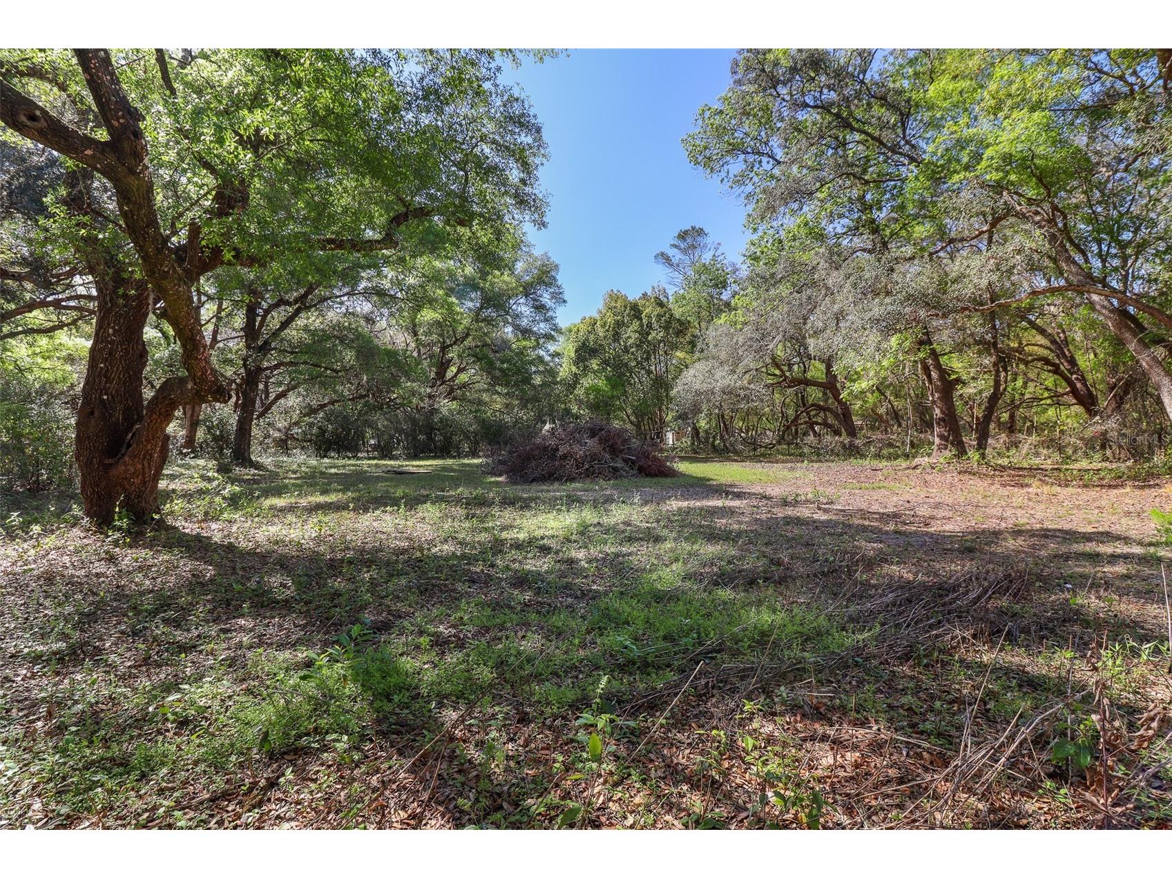 6111 Klare Drive Keystone Heights FL 32656 OM722763 image20