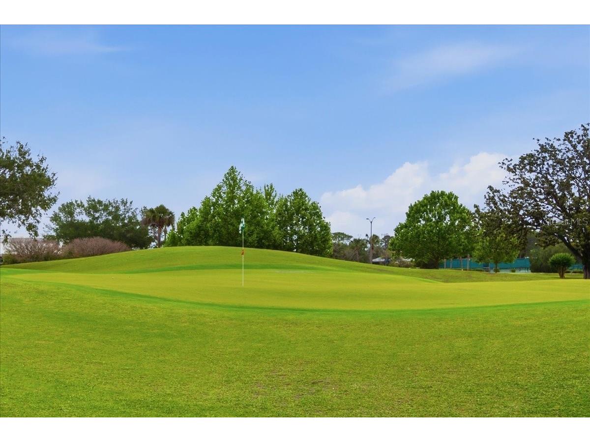 6111 Lake Pointe Drive #202 Orlando FL 32822 O6403581 image35