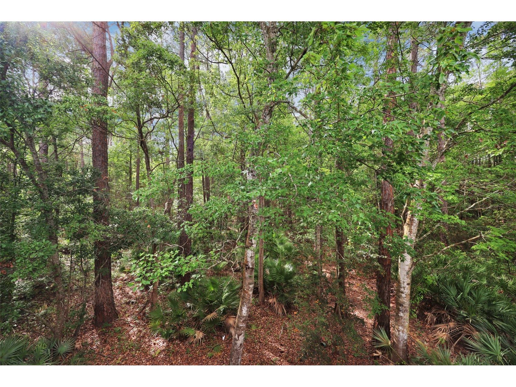 6111 Maggies Circle #110 Jacksonville FL 32244 FC318250 image29