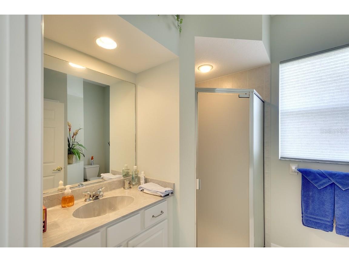 6112 90th Avenue Circle E Parrish FL 34219 A4659290 image22