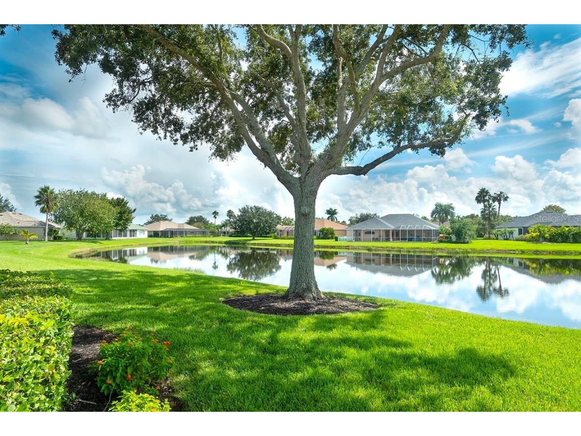 6112 90th Avenue Circle E Parrish FL 34219 A4659290 image36