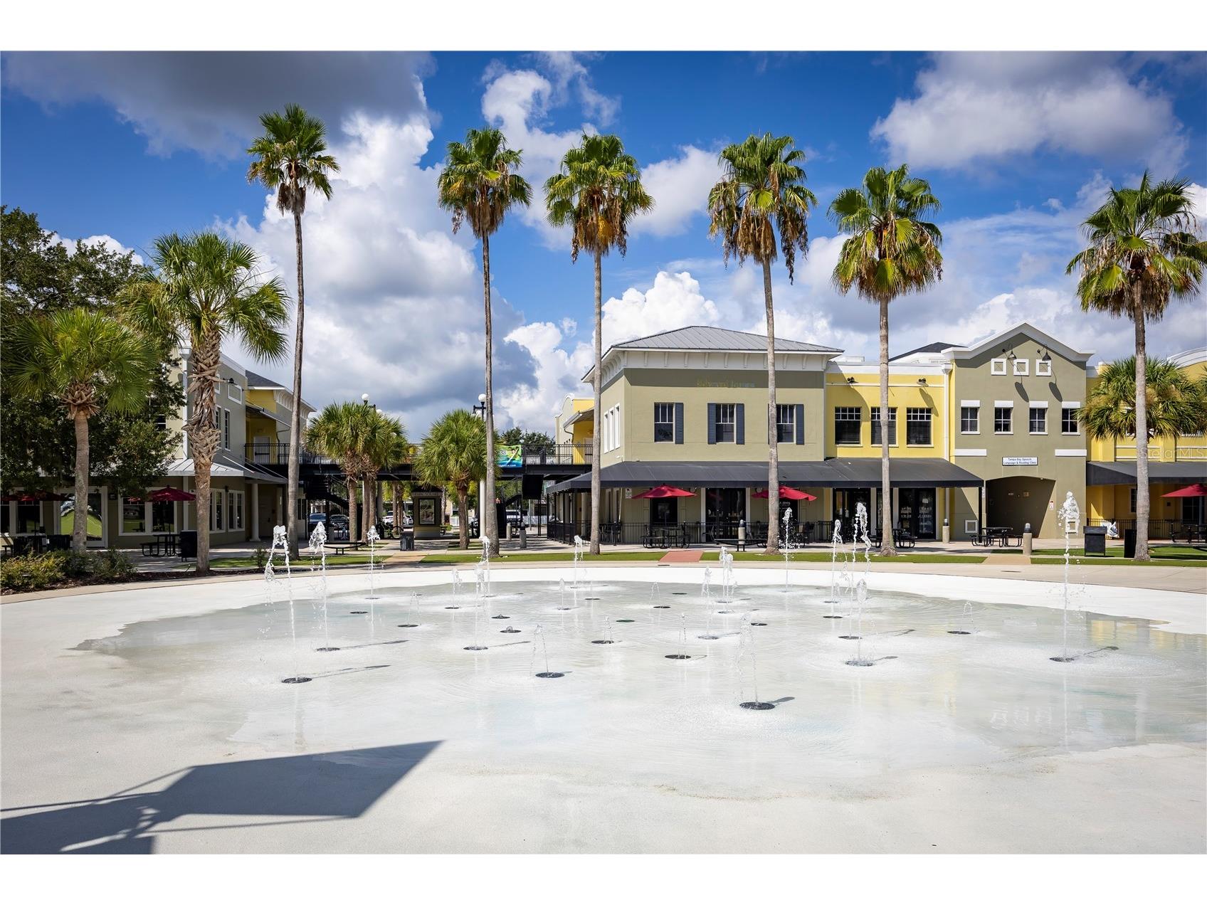 6112 Fishhawk Crossing Boulevard Lithia FL 33547 TB8527129 image18