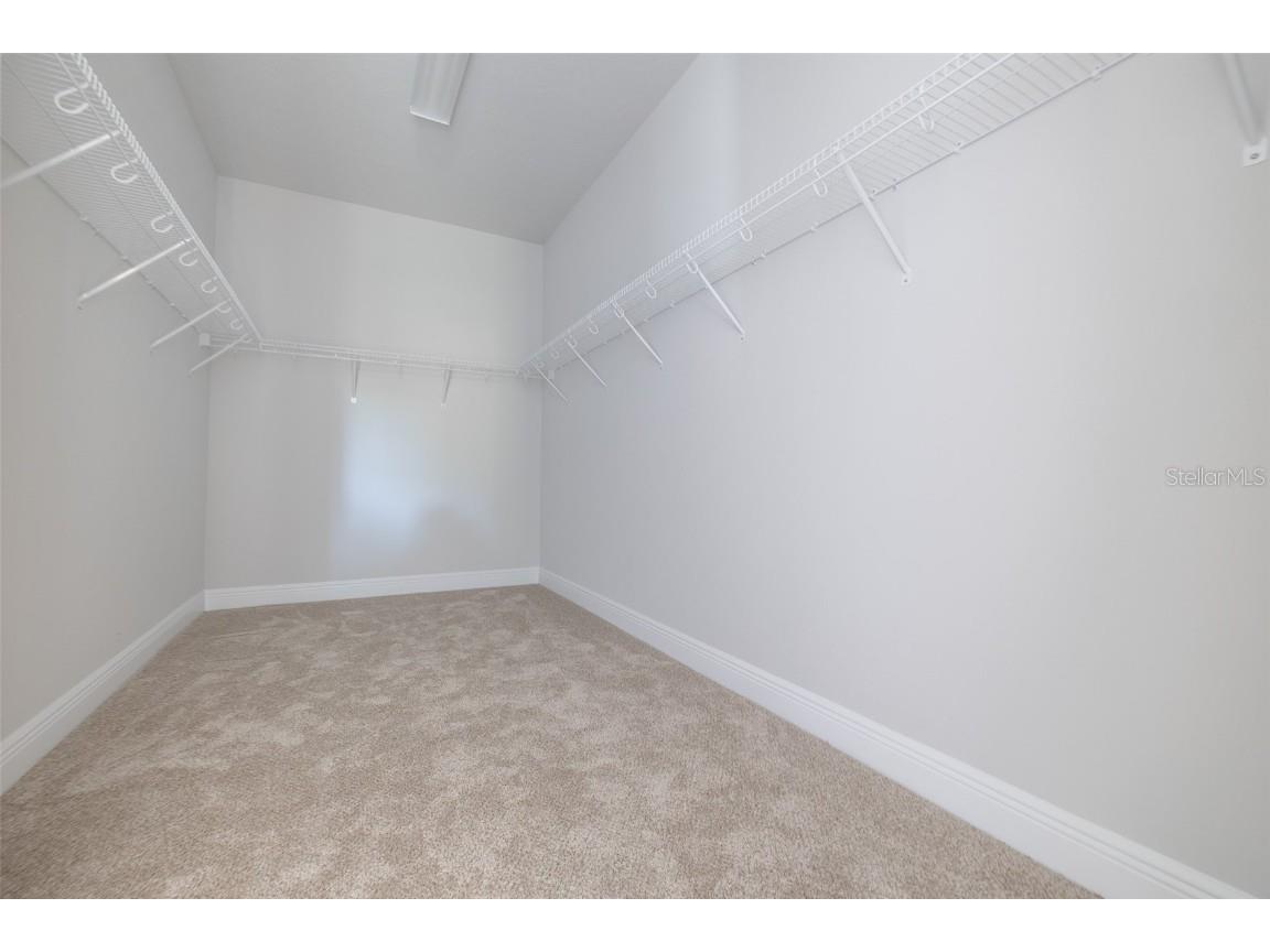 6112 Plover Meadow Street Lithia FL 33547 TB8442190 image17