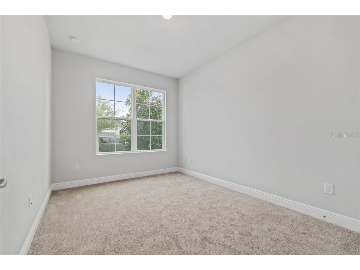 6112 Plover Meadow Street Lithia FL 33547 TB8442190 image19