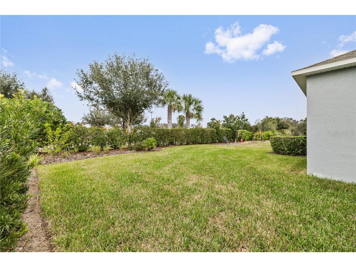 6112 Plover Meadow Street Lithia FL 33547 TB8442190 image23