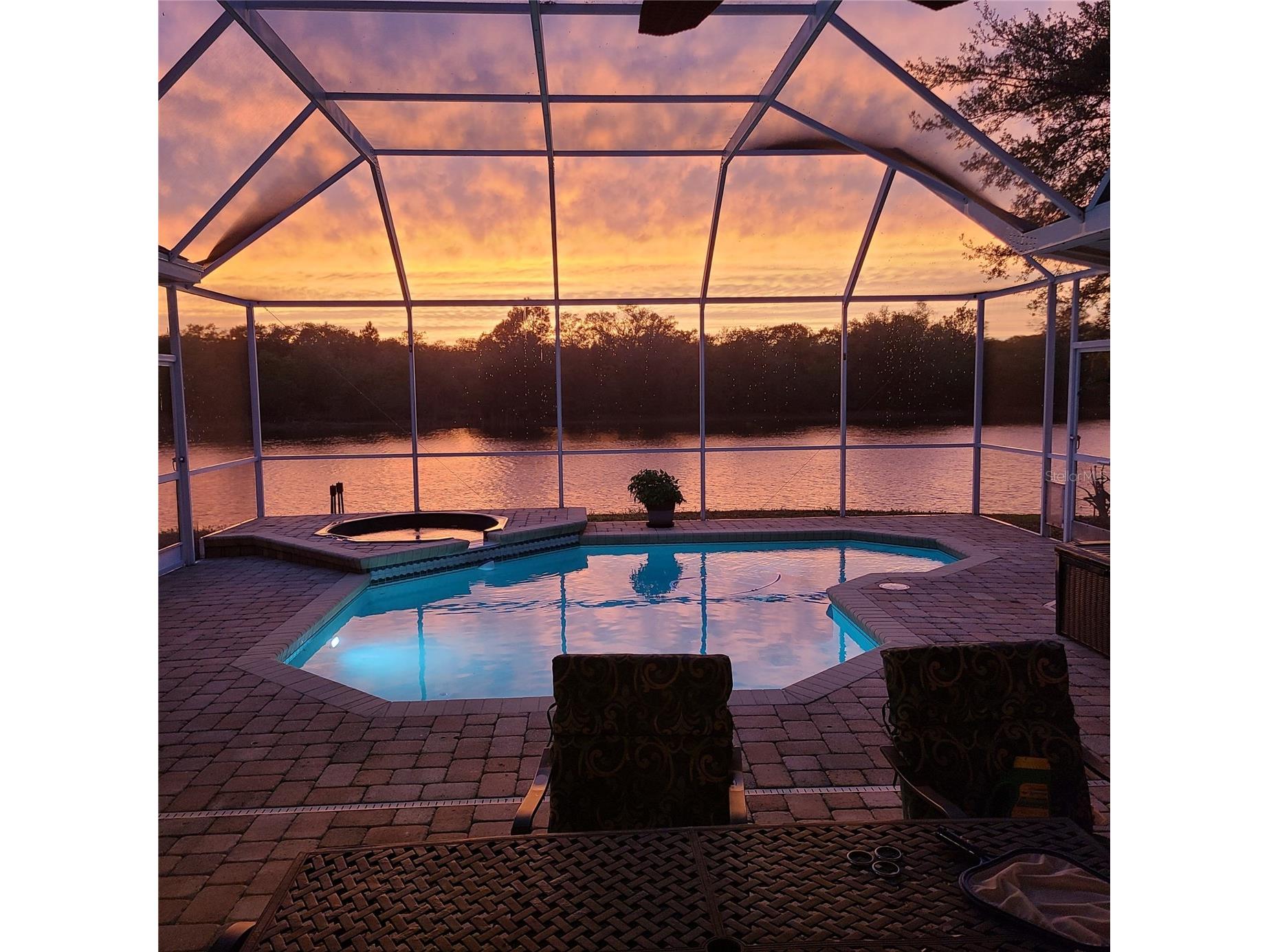 6113 Cognac Circle Lutz FL 33558 TB8500776 image3