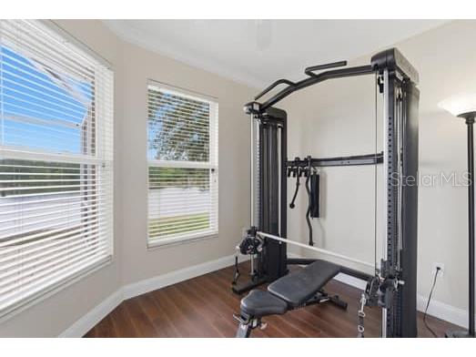 6113 Cognac Circle Lutz FL 33558 TB8500776 image31