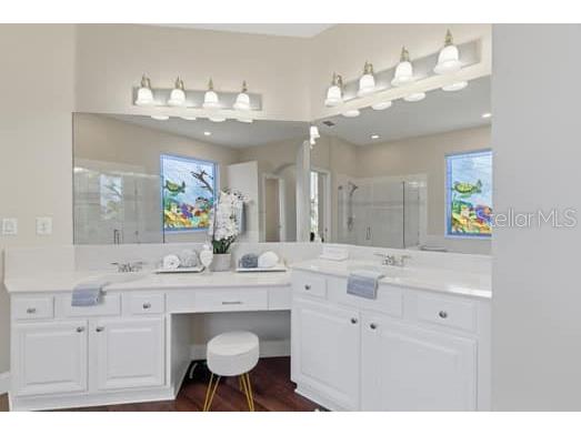 6113 Cognac Circle Lutz FL 33558 TB8500776 image35