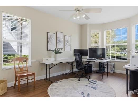 6113 Cognac Circle Lutz FL 33558 TB8500776 image39