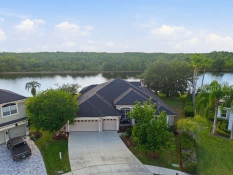 6113 Cognac Circle Lutz FL 33558 TB8500776 image61