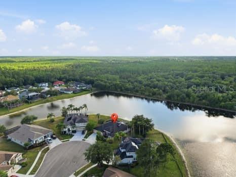 6113 Cognac Circle Lutz FL 33558 TB8500776 image63