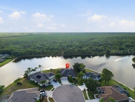 6113 Cognac Circle Lutz FL 33558 TB8500776 image64
