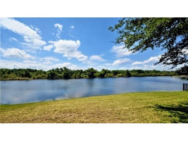 6113 Cognac Circle Lutz FL 33558 TB8500776 image66