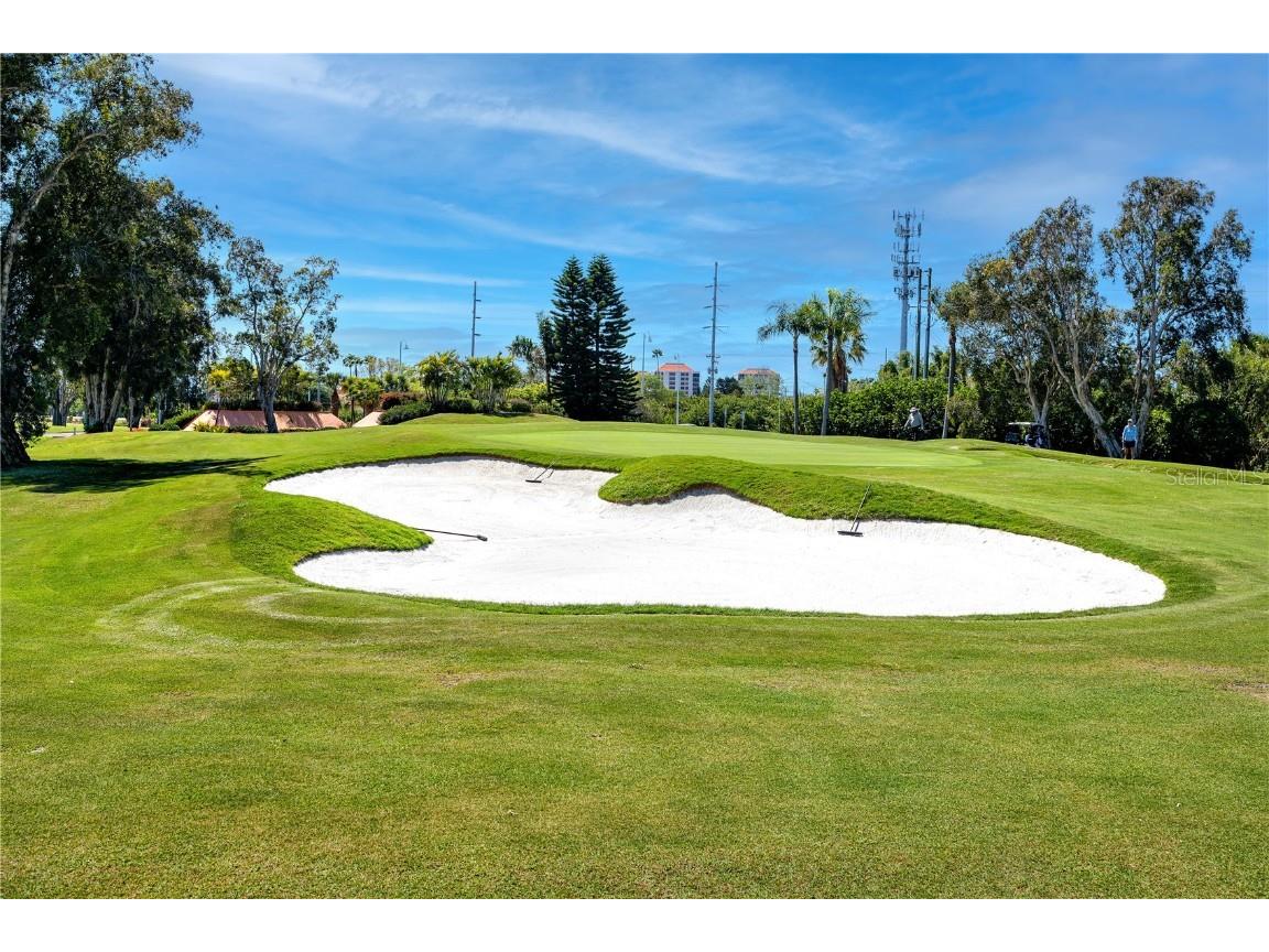 6113 Palma Del Mar Boulevard S #221 Saint Petersburg FL 33715 TB8458266 image34