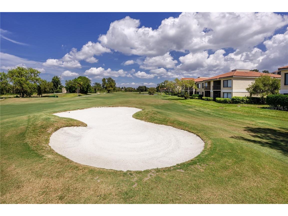 6113 Palma Del Mar Boulevard S #221 Saint Petersburg FL 33715 TB8458266 image35