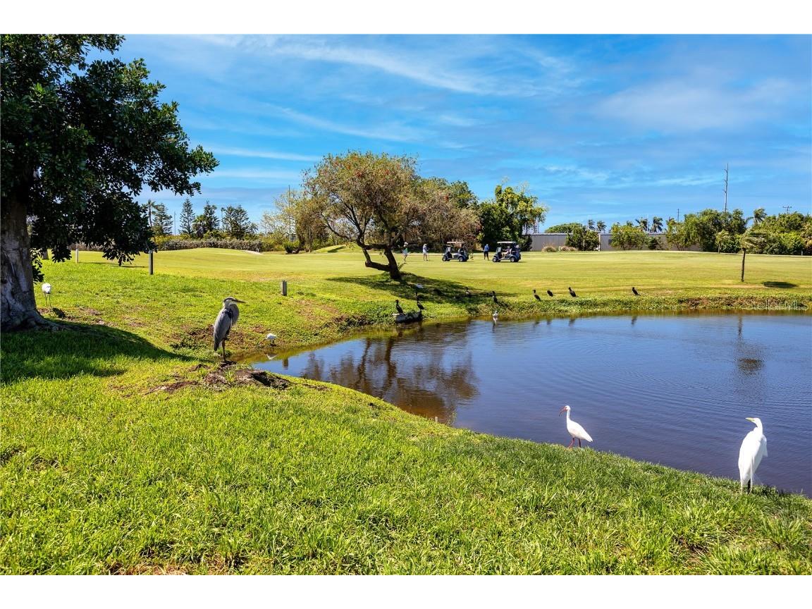 6113 Palma Del Mar Boulevard S #221 Saint Petersburg FL 33715 TB8458266 image36