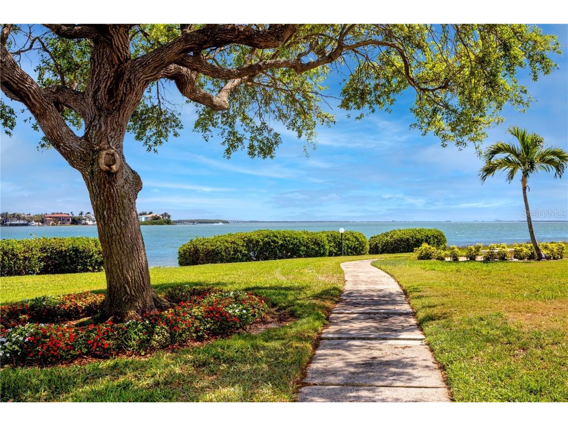 6113 Palma Del Mar Boulevard S #221 Saint Petersburg FL 33715 TB8458266 image40