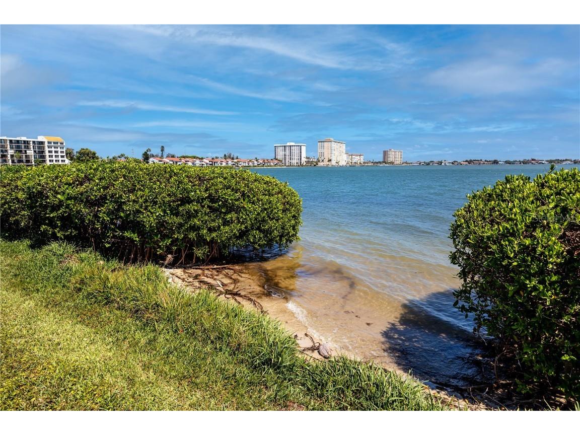 6113 Palma Del Mar Boulevard S #221 Saint Petersburg FL 33715 TB8458266 image42