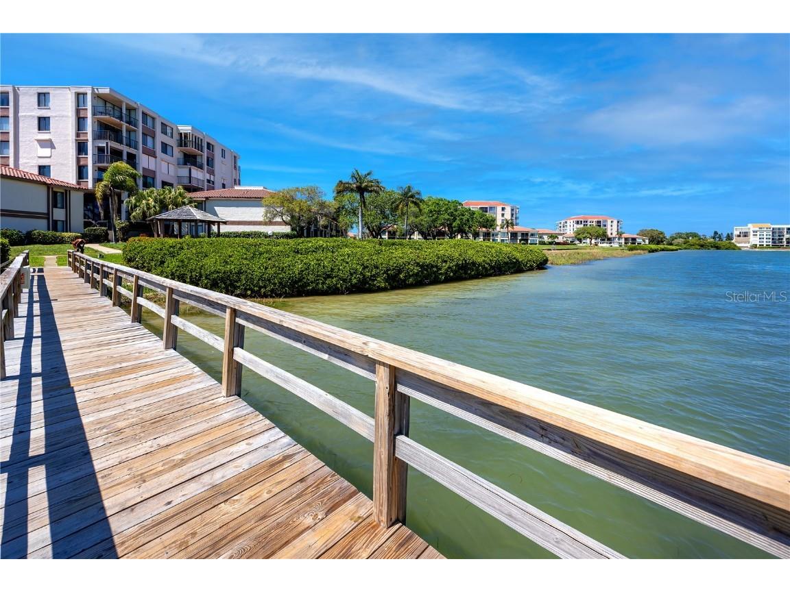 6113 Palma Del Mar Boulevard S #221 Saint Petersburg FL 33715 TB8458266 image43