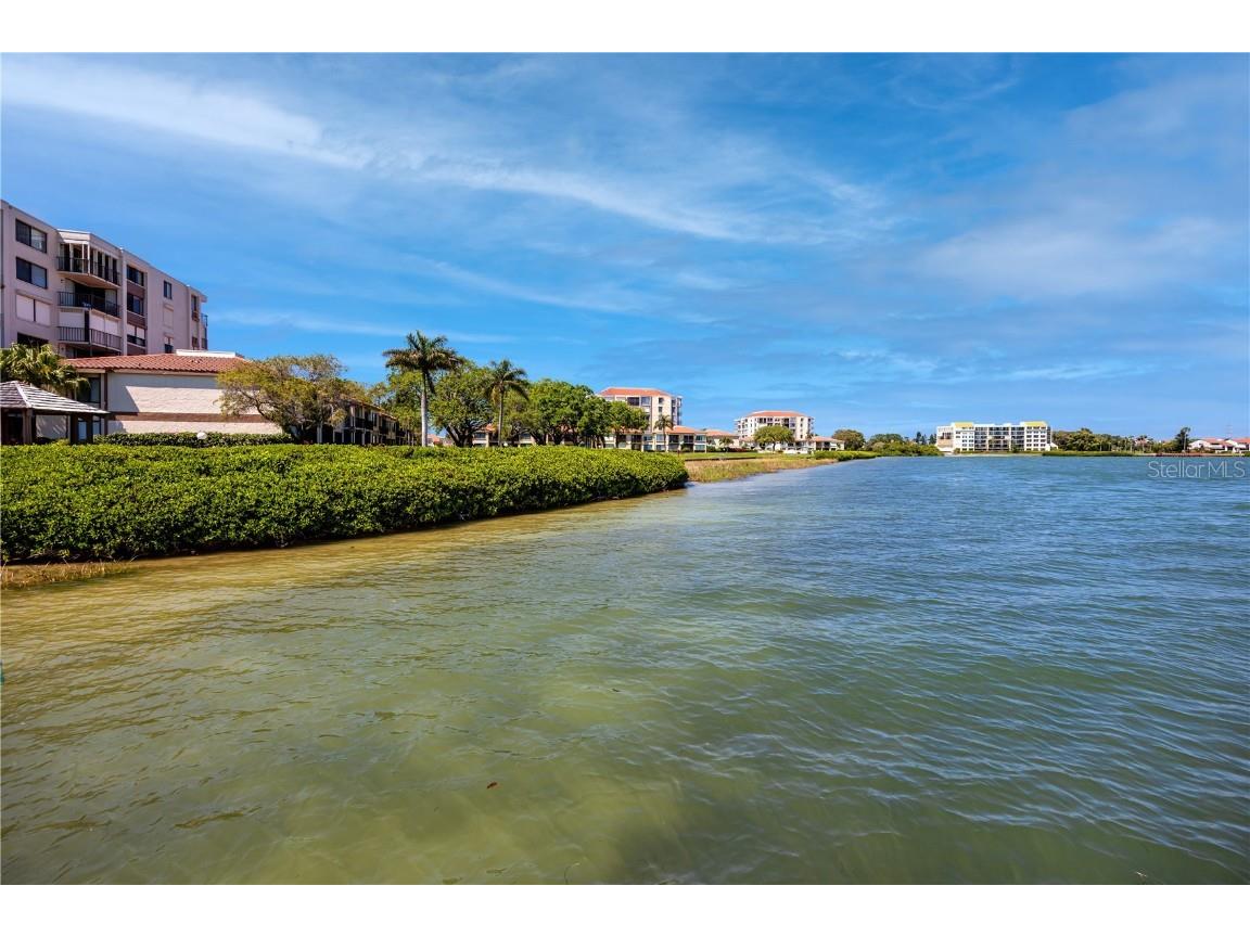 6113 Palma Del Mar Boulevard S #221 Saint Petersburg FL 33715 TB8458266 image44