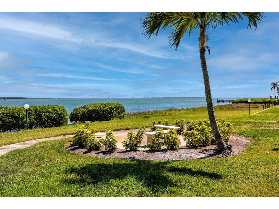 6113 Palma Del Mar Boulevard S #221 Saint Petersburg FL 33715 TB8458266 image46