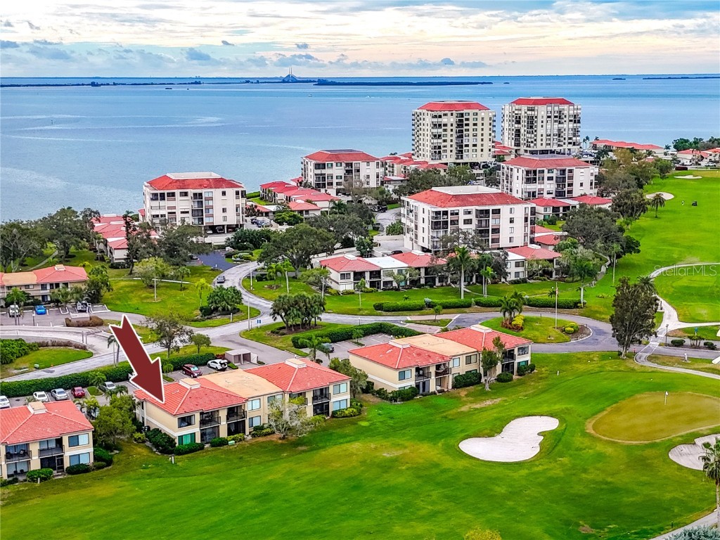 6113 Palma Del Mar Boulevard S #221 Saint Petersburg FL 33715 TB8458266 image49