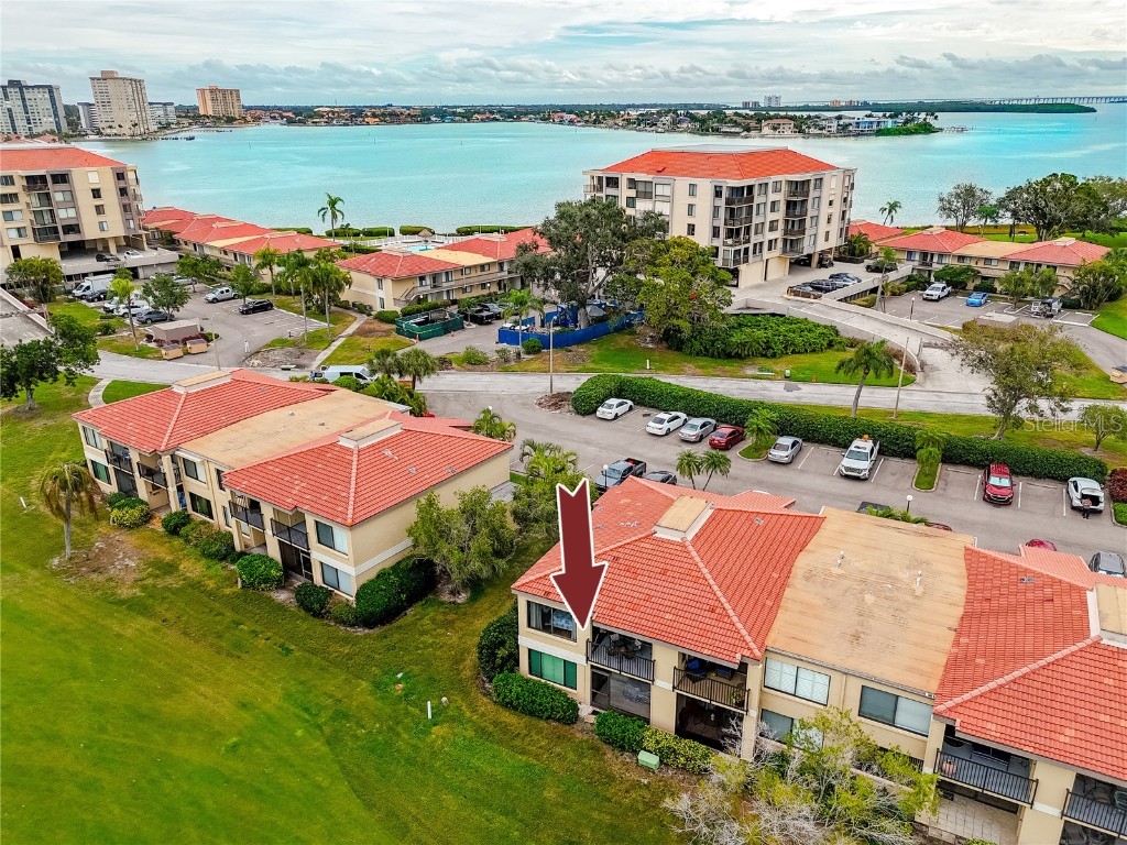 6113 Palma Del Mar Boulevard S #221 Saint Petersburg FL 33715 TB8458266 image50