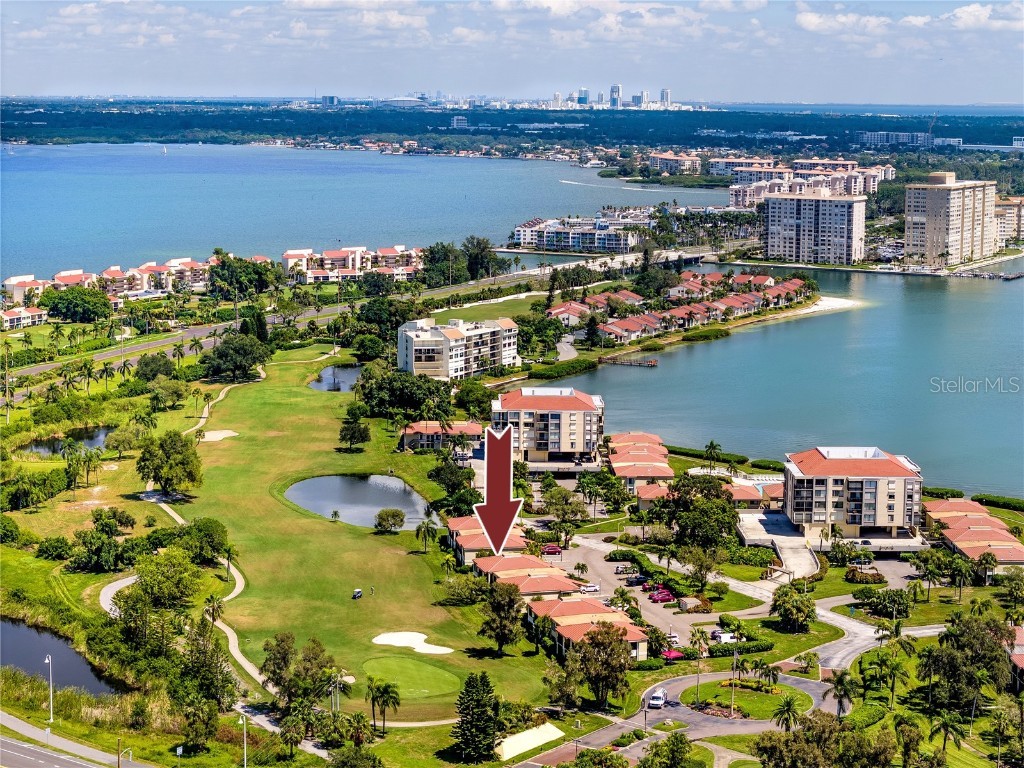 6113 Palma Del Mar Boulevard S #221 Saint Petersburg FL 33715 TB8458266 image52