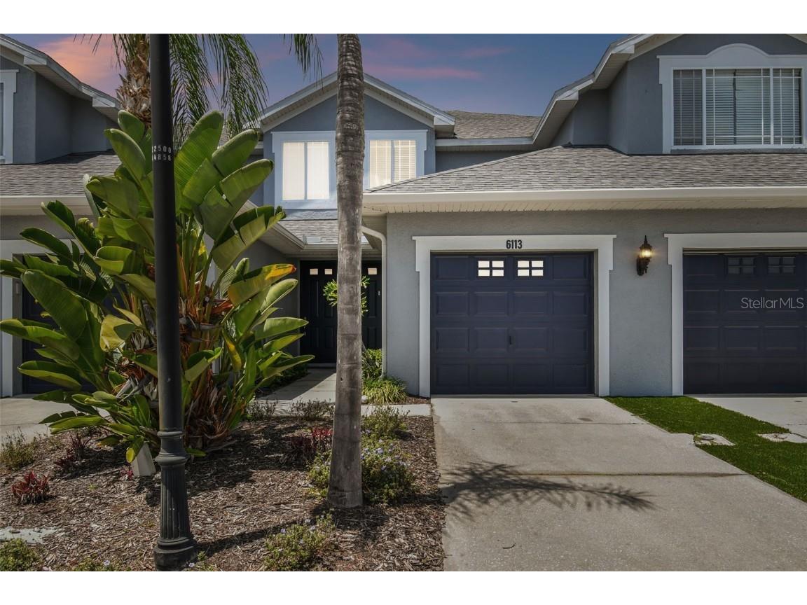 6113 Parkside Meadow Drive Tampa FL 33625 T3524808 image1