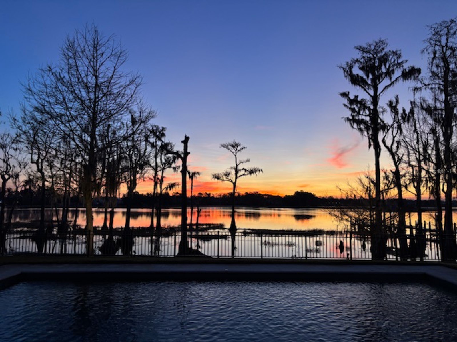 6113 Payne Stewart Drive Windermere FL 34786 - LAKE CHASE O6386548 image3