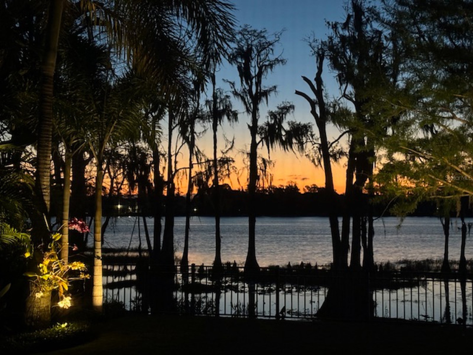6113 Payne Stewart Drive Windermere FL 34786 - LAKE CHASE O6386548 image33