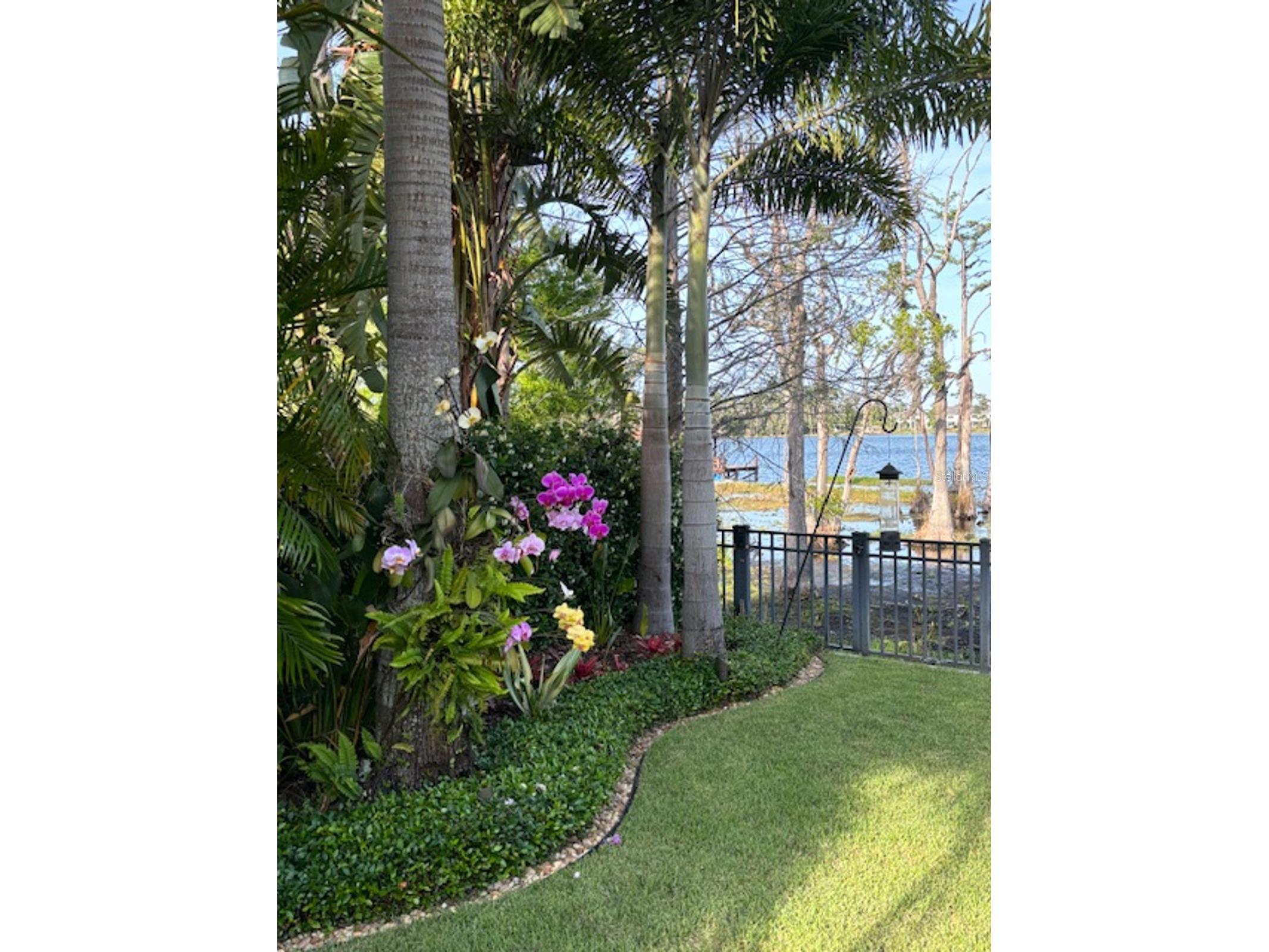 6113 Payne Stewart Drive Windermere FL 34786 - LAKE CHASE O6386548 image40