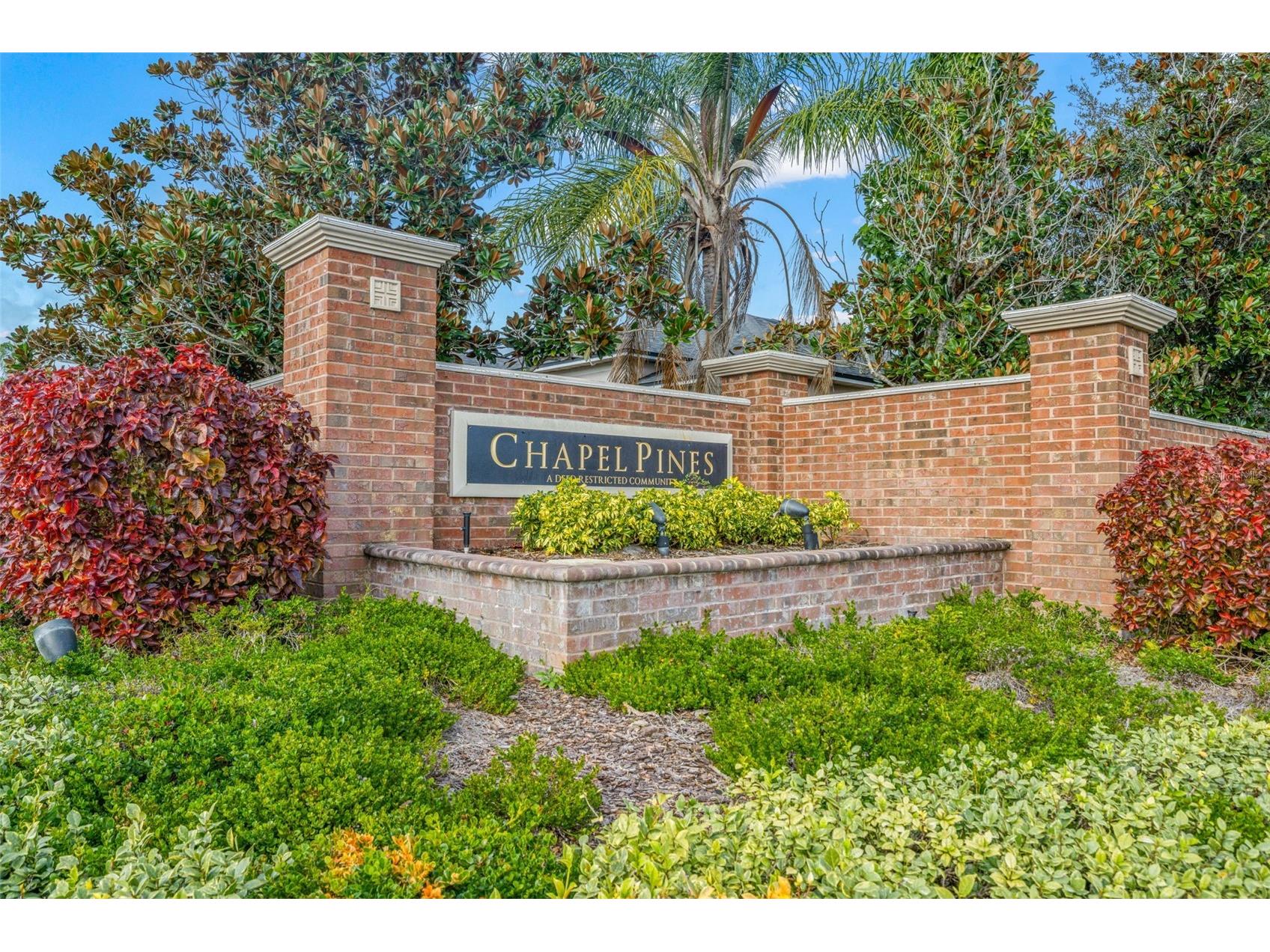 6114 School House Court Wesley Chapel FL 33545 TB8469532 image37