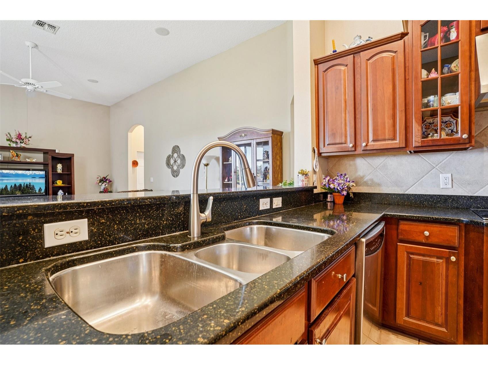 6114 Tremayne Drive Mount Dora FL 32757 G5107905 image17