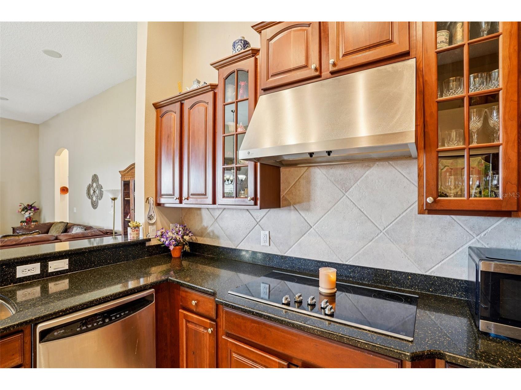 6114 Tremayne Drive Mount Dora FL 32757 G5107905 image18