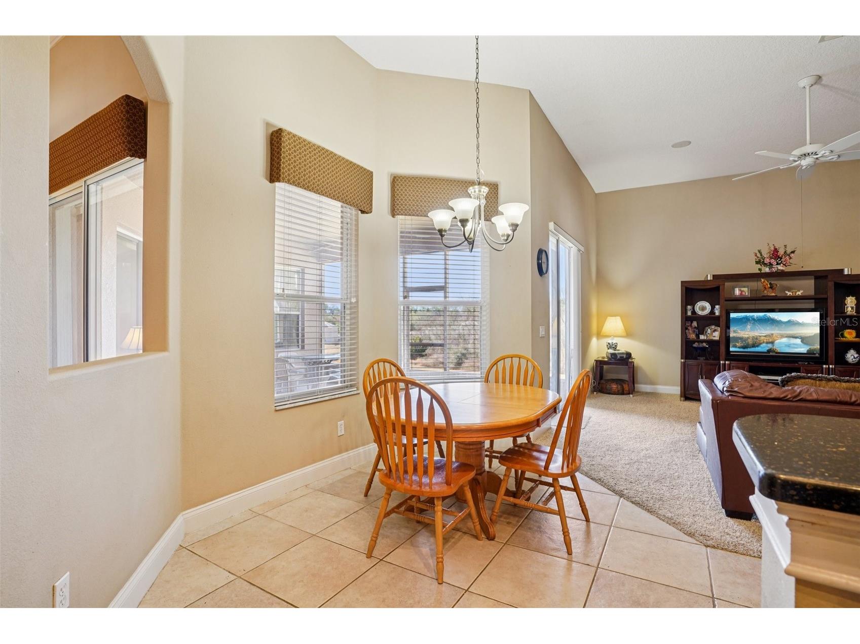 6114 Tremayne Drive Mount Dora FL 32757 G5107905 image19