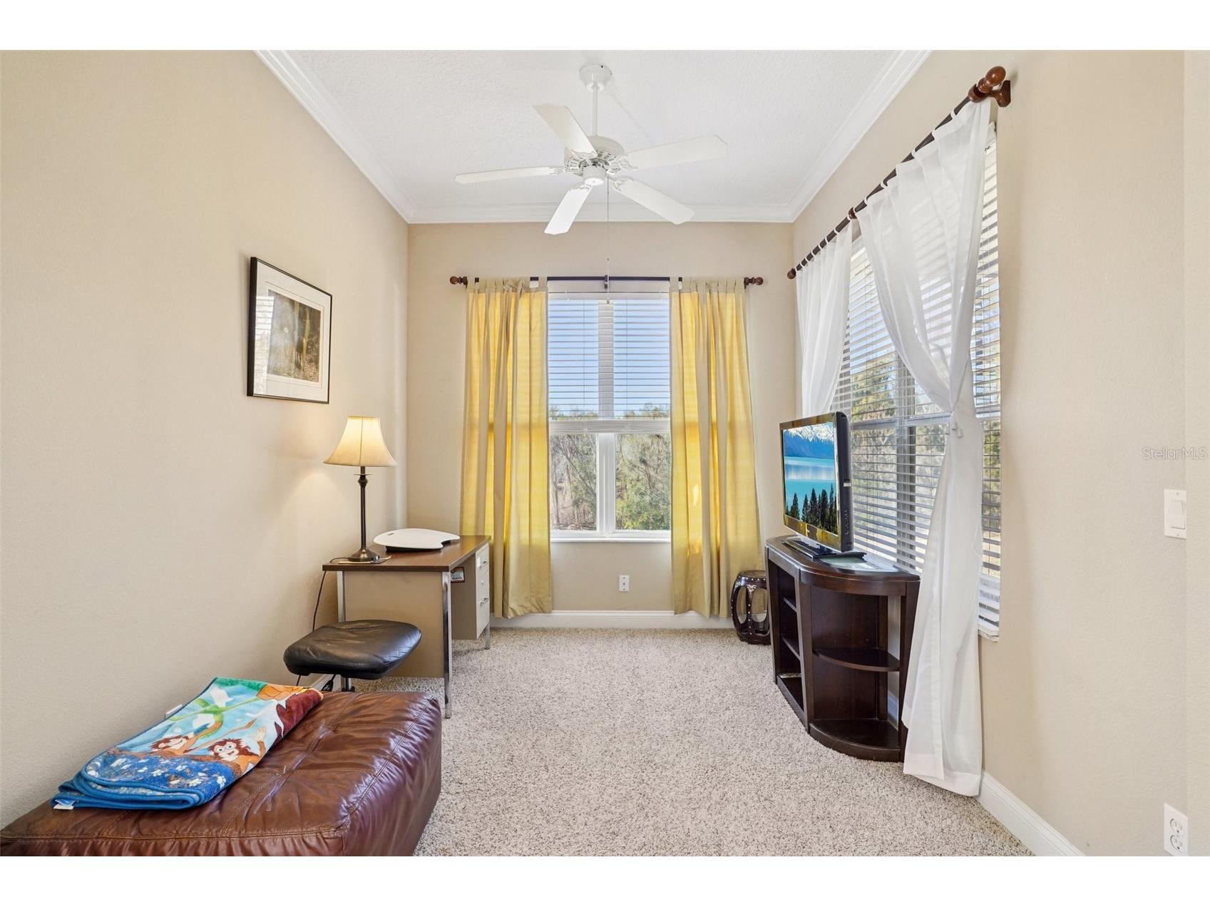 6114 Tremayne Drive Mount Dora FL 32757 G5107905 image28