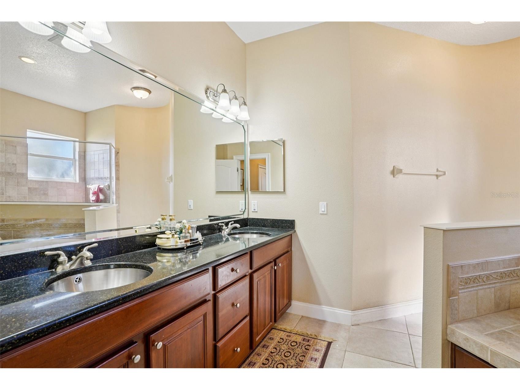 6114 Tremayne Drive Mount Dora FL 32757 G5107905 image29