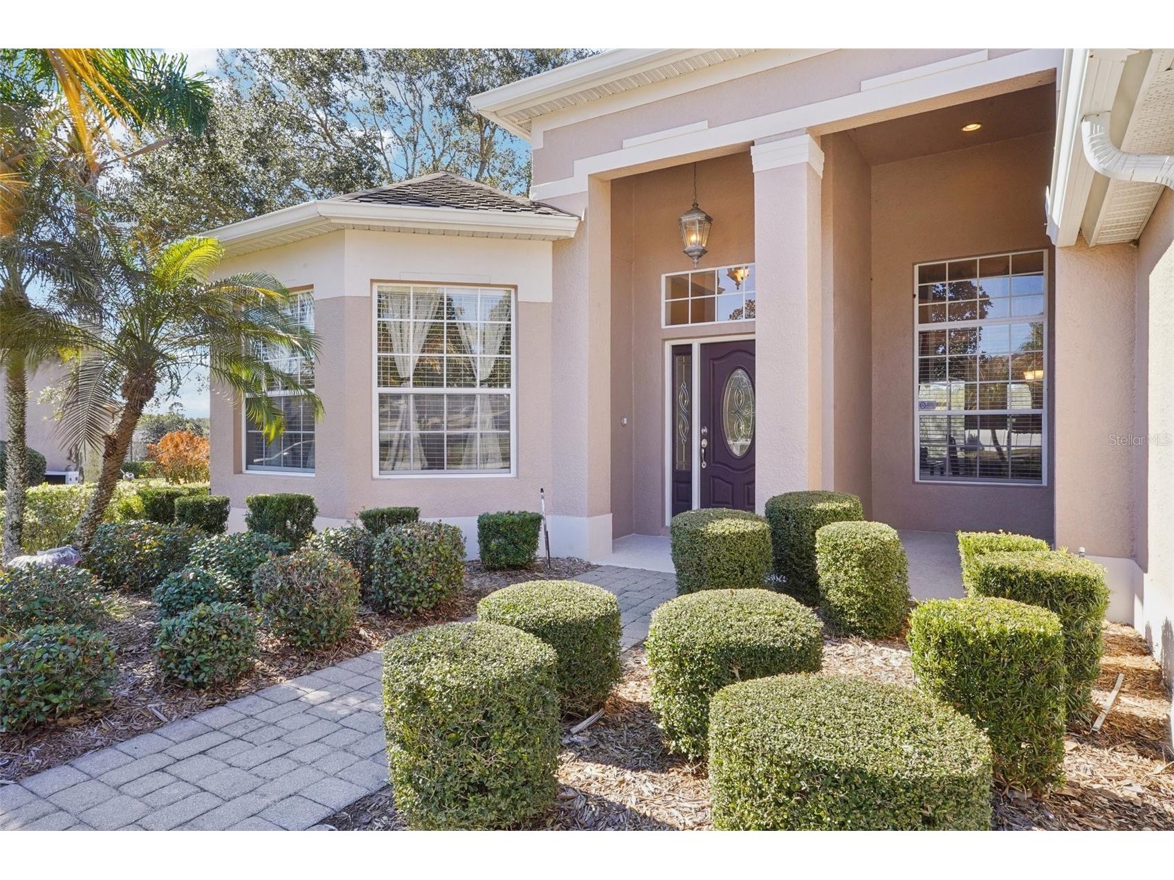6114 Tremayne Drive Mount Dora FL 32757 G5107905 image3