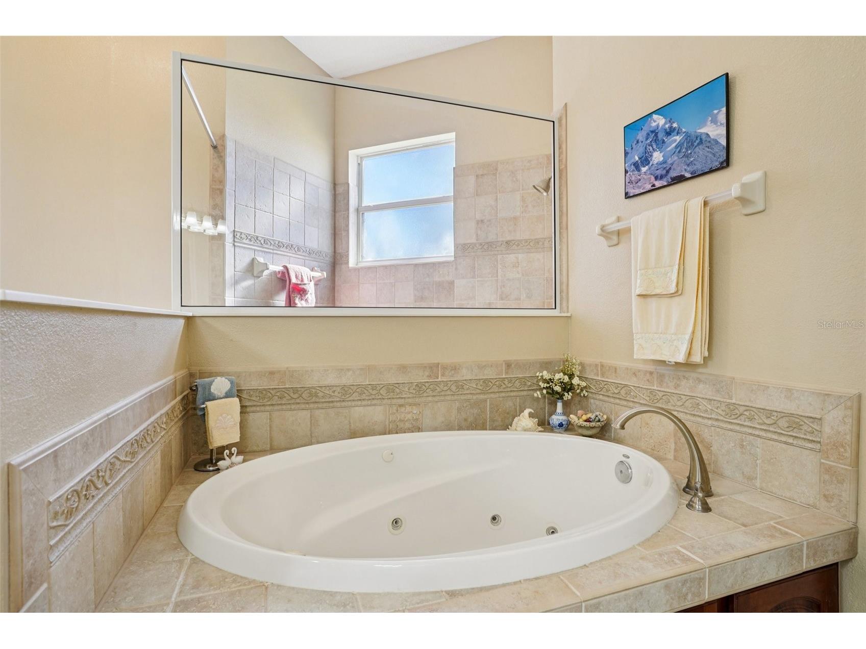 6114 Tremayne Drive Mount Dora FL 32757 G5107905 image31