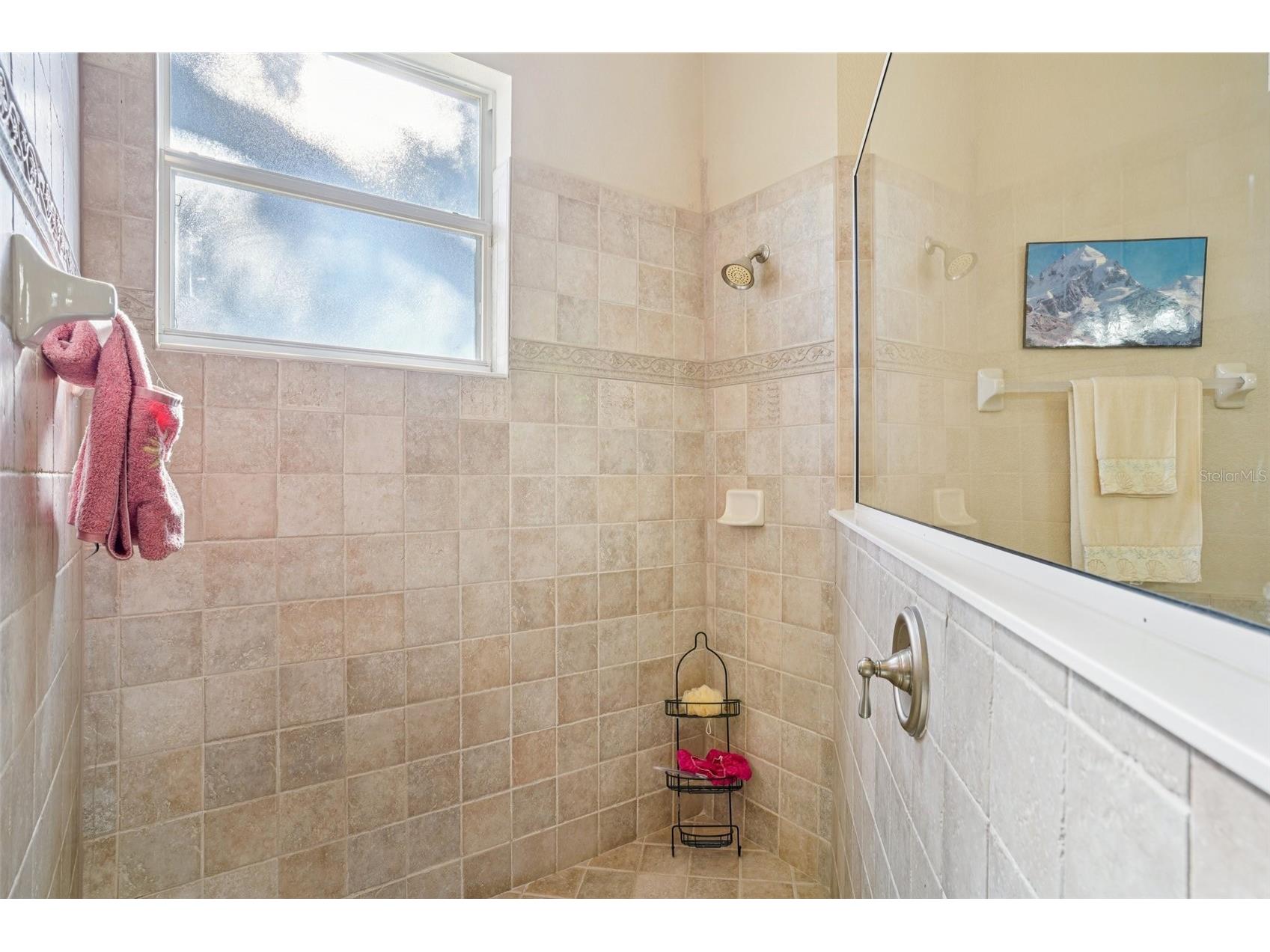 6114 Tremayne Drive Mount Dora FL 32757 G5107905 image32