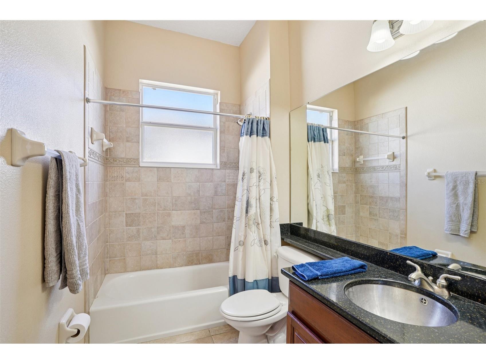 6114 Tremayne Drive Mount Dora FL 32757 G5107905 image35